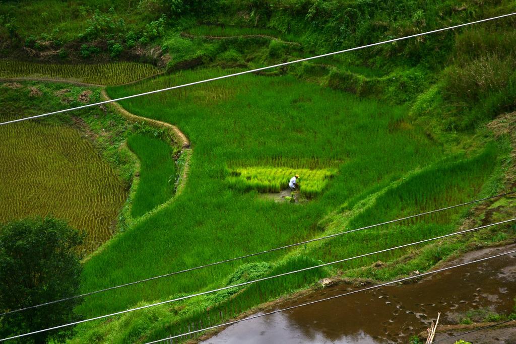 Banaue Greenfields Inn 외부 사진